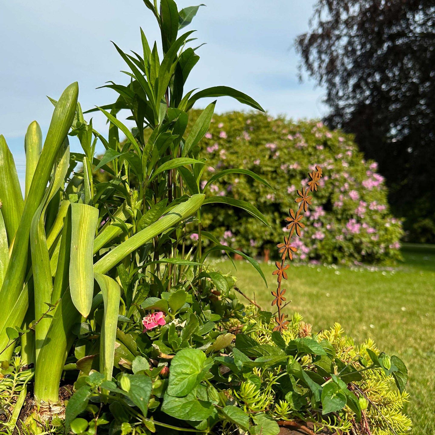 Elfenblüte