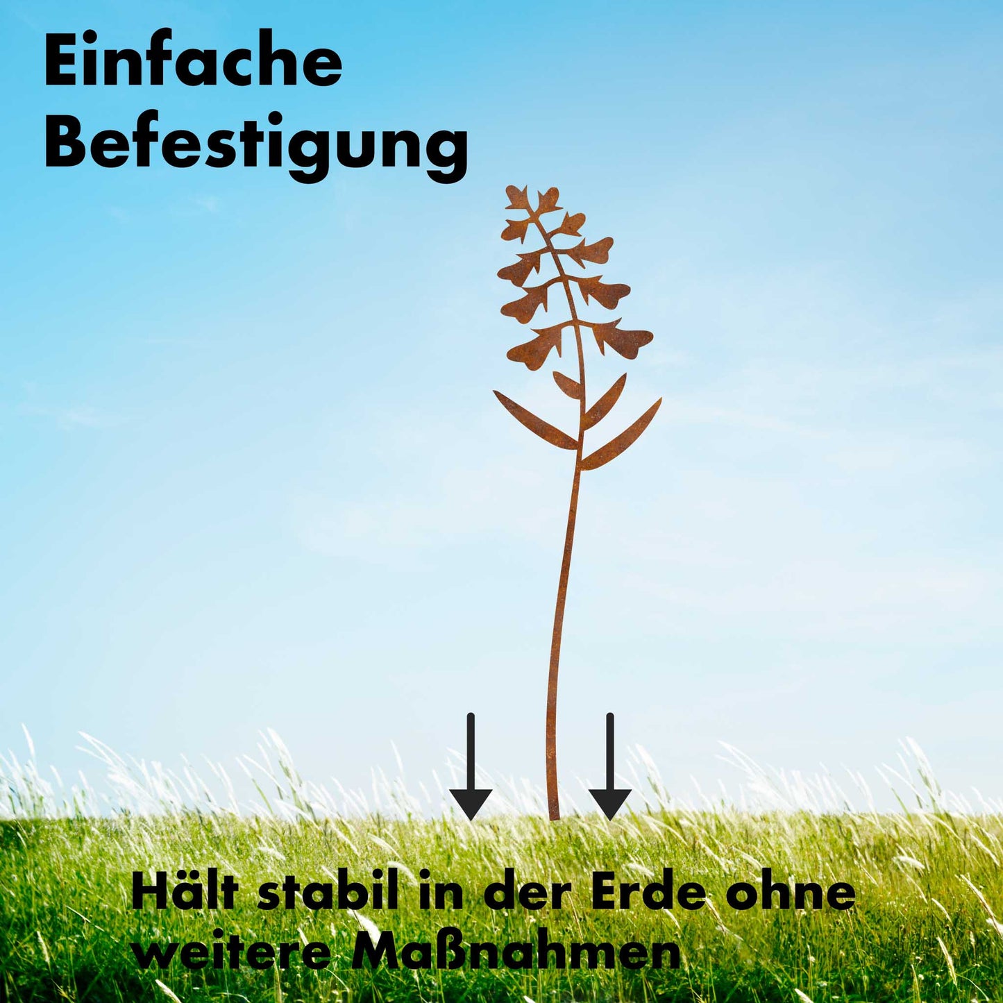 Pfaffenhütchen