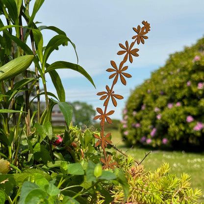 Elfenblüte