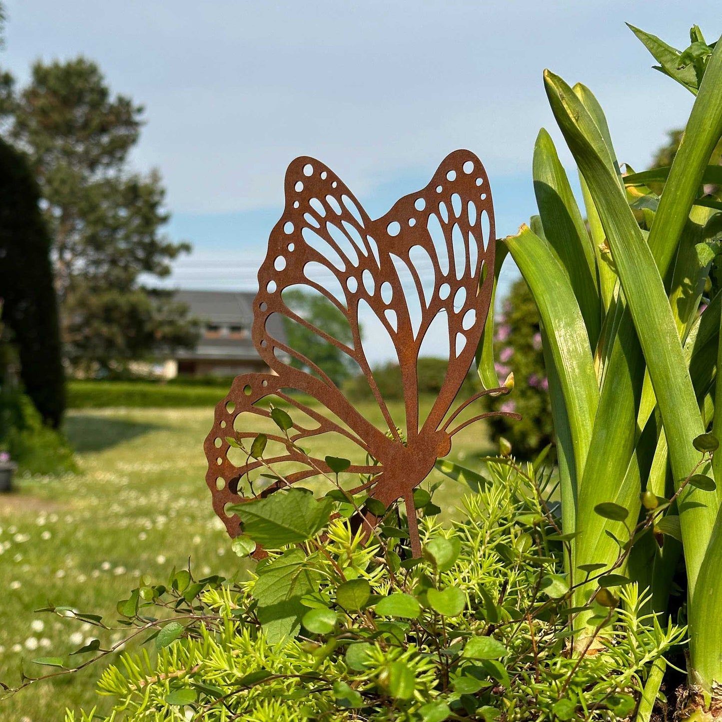 Fliegender Schmetterling