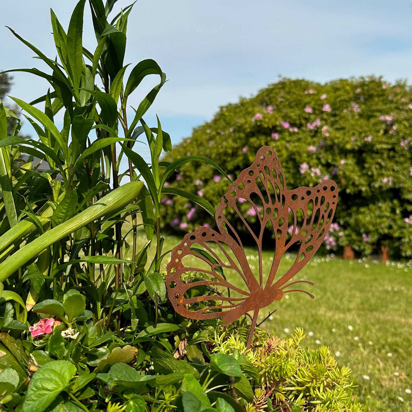 Fliegender Schmetterling