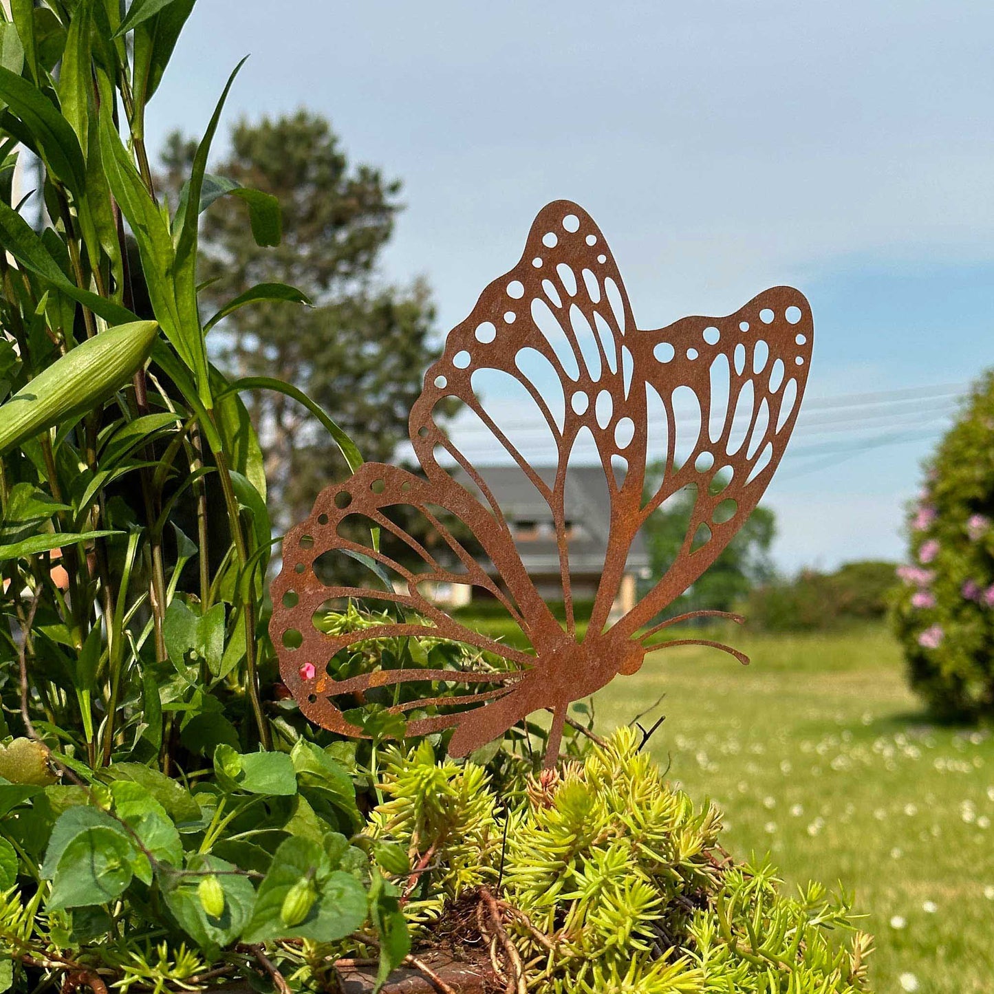 Fliegender Schmetterling