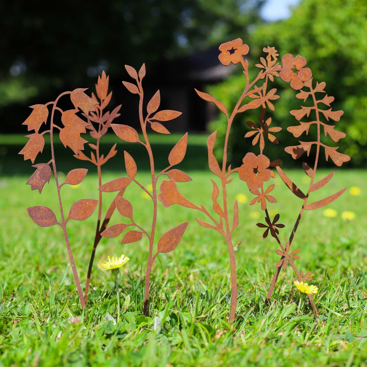 Elfenblüte