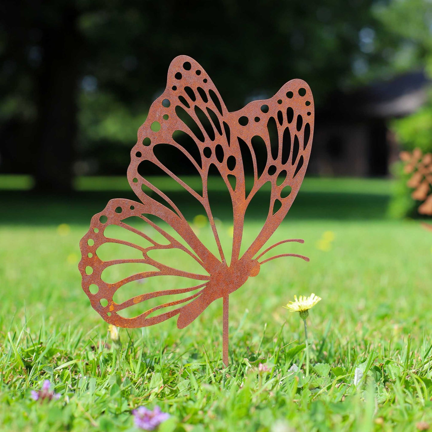 Fliegender Schmetterling