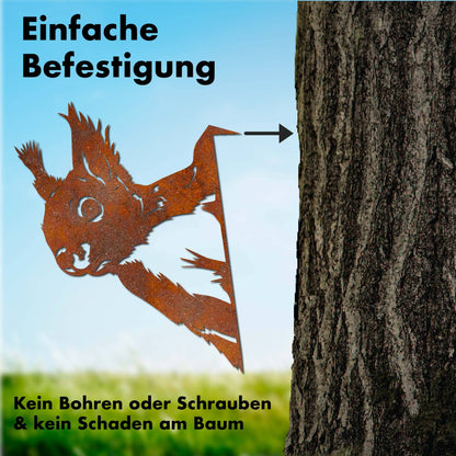 Neugieriges Eichhörnchen